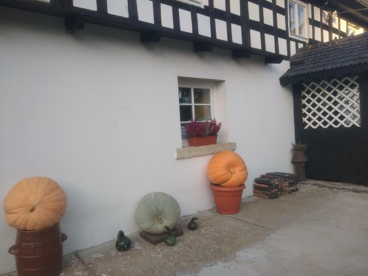 Noclegi U Anny Boleslawiec  Esterno foto